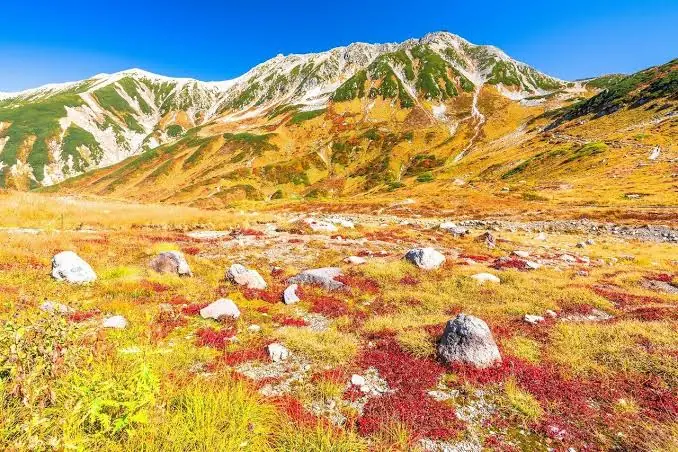 秋の草紅葉と立山連峰